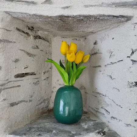 Le Gemmois * Sainte-Gemme-sur-Loire