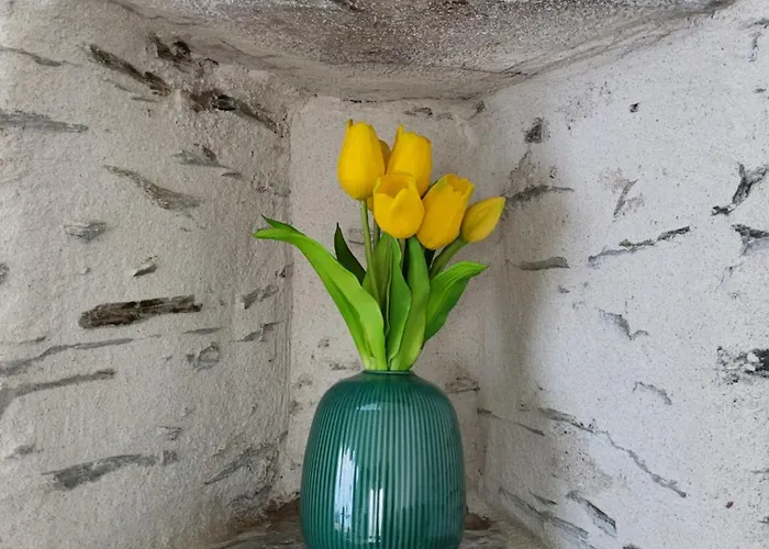 Le Gemmois * Sainte-Gemme-sur-Loire